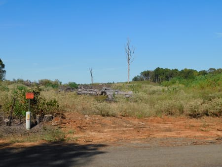 Plain Dealing, LA 71064 Bossier Parish