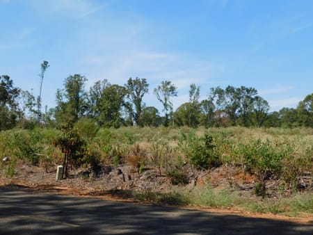 Plain Dealing, LA 71064 Bossier Parish