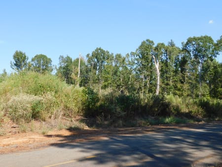 Plain Dealing, LA 71064 Bossier Parish