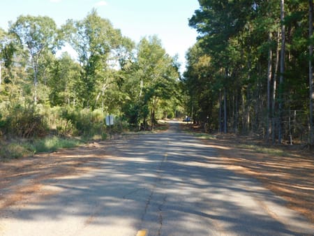 Plain Dealing, LA 71064 Bossier Parish