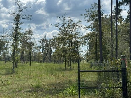 Huntington, TX 75949 Angelina County