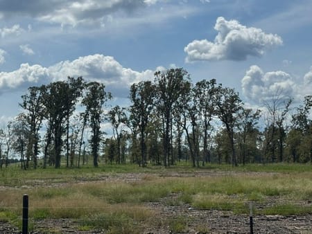 Huntington, TX 75949 Angelina County
