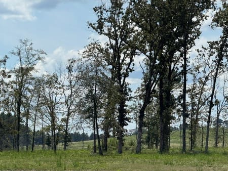 Huntington, TX 75949 Angelina County
