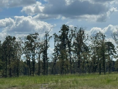 Huntington, TX 75949 Angelina County