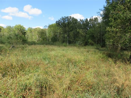 Nacogdoches, TX 75964 Nacogdoches County