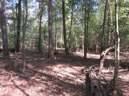 Nacogdoches, TX 75964 Nacogdoches County