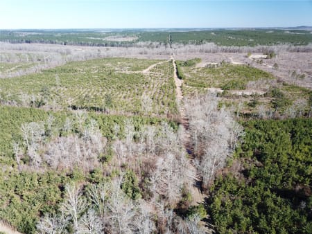 Gibsland, LA 71028 Bienville Parish