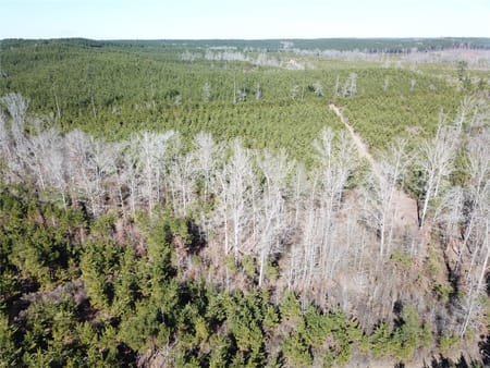 Gibsland, LA 71028 Bienville Parish