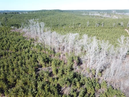 Gibsland, LA 71028 Bienville Parish