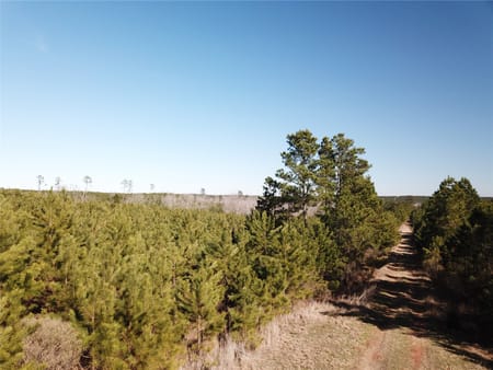 Gibsland, LA 71028 Bienville Parish