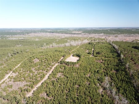 Gibsland, LA 71028 Bienville Parish