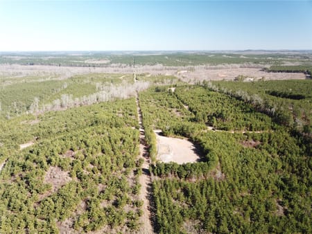 Gibsland, LA 71028 Bienville Parish