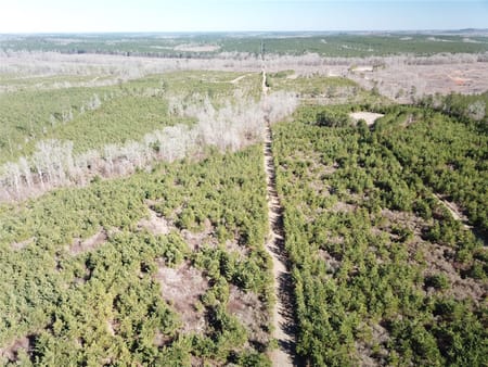 Gibsland, LA 71028 Bienville Parish