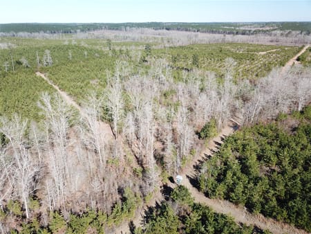 Gibsland, LA 71028 Bienville Parish