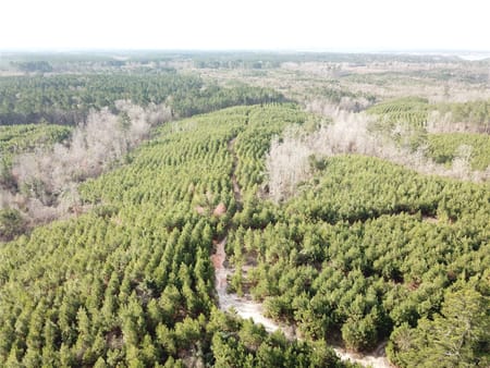Zwolle, LA 71486 Sabine Parish