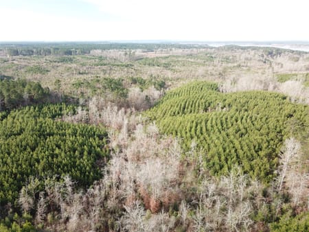Zwolle, LA 71486 Sabine Parish