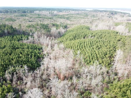 Zwolle, LA 71486 Sabine Parish