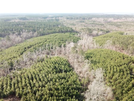 Zwolle, LA 71486 Sabine Parish