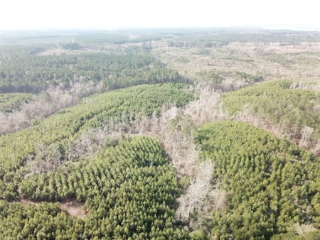Zwolle, LA 71486 Sabine Parish