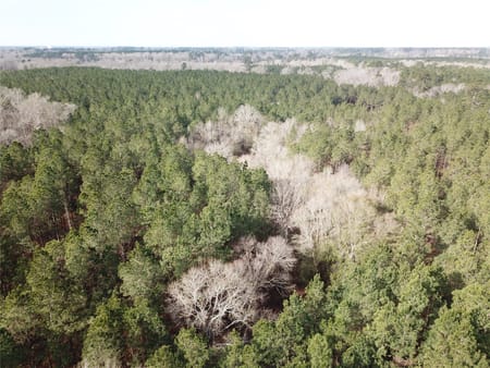 Zwolle, LA 71486 Sabine Parish