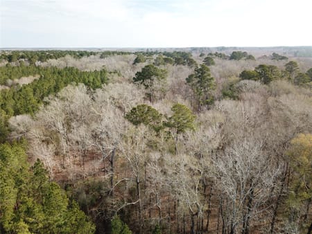 Zwolle, LA 71486 Sabine Parish