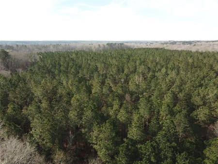 Zwolle, LA 71486 Sabine Parish