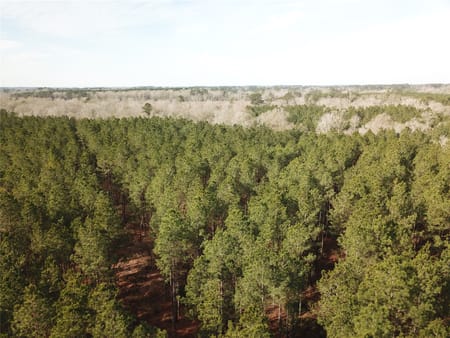 Zwolle, LA 71486 Sabine Parish