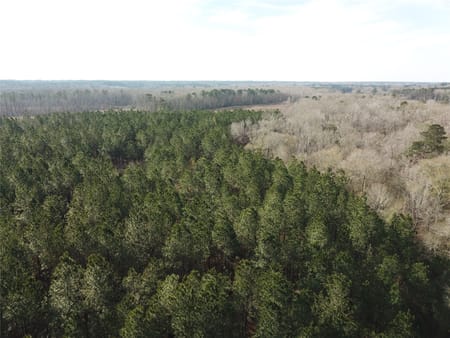 Zwolle, LA 71486 Sabine Parish
