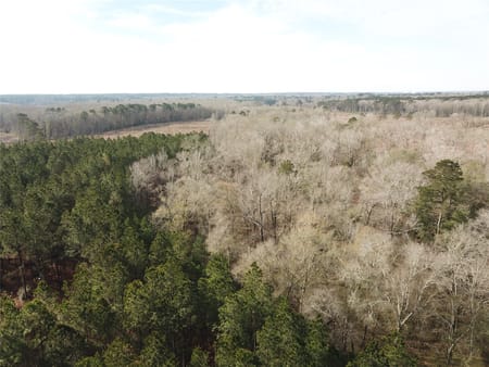 Zwolle, LA 71486 Sabine Parish