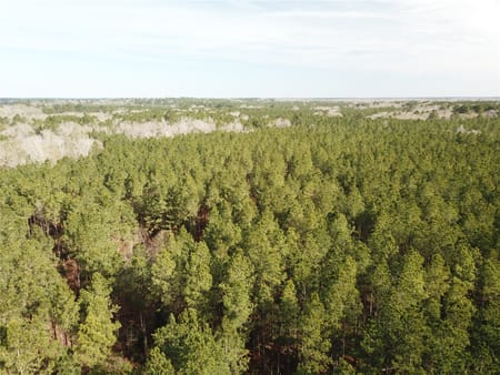 Zwolle, LA 71486 Sabine Parish