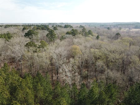 Zwolle, LA 71486 Sabine Parish