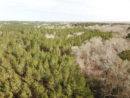 Zwolle, LA 71486 Sabine Parish