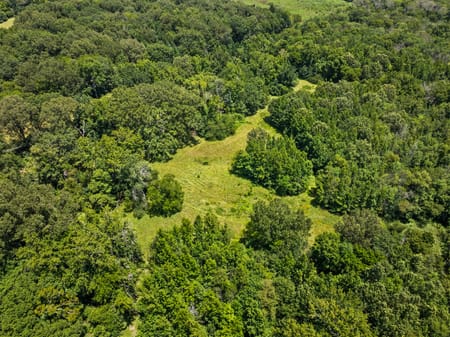 Cookville, TX 75558 Titus County