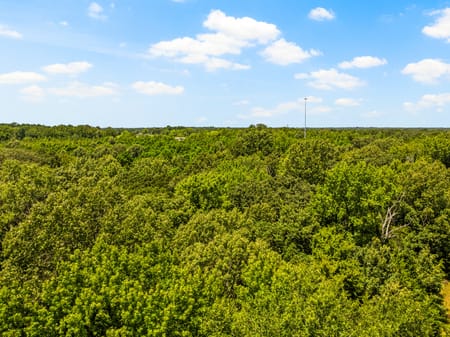 Cookville, TX 75558 Titus County