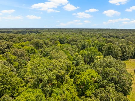 Cookville, TX 75558 Titus County