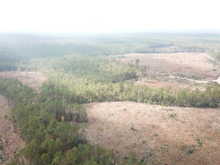 Colmesneil, TX 75938 Tyler County