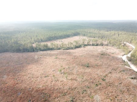 Colmesneil, TX 75938 Tyler County