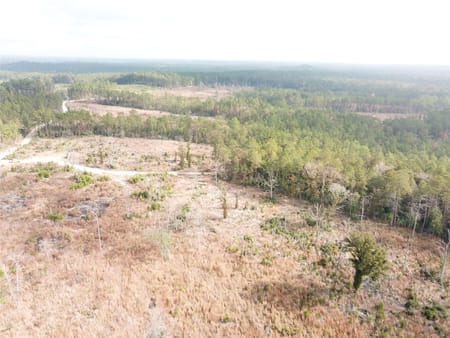 Colmesneil, TX 75938 Tyler County