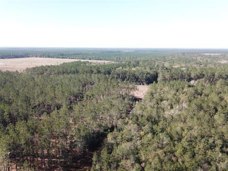 Kountze, TX 77625 Hardin County