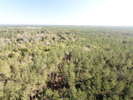 Kountze, TX 77625 Hardin County