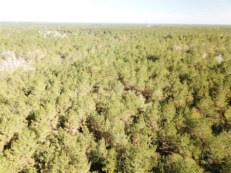 Kountze, TX 77625 Hardin County