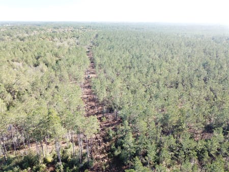 Kountze, TX 77625 Hardin County