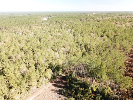 Kountze, TX 77625 Hardin County