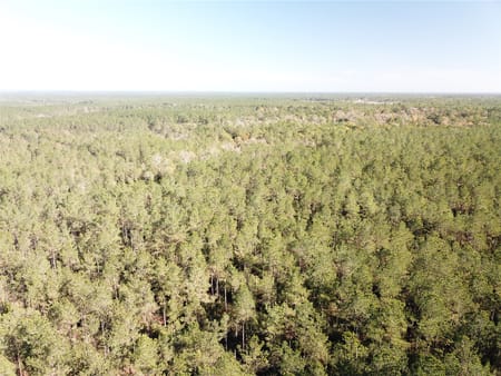 Kountze, TX 77625 Hardin County