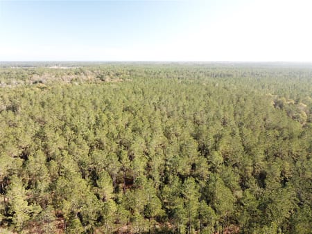 Kountze, TX 77625 Hardin County