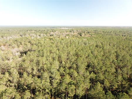 Kountze, TX 77625 Hardin County