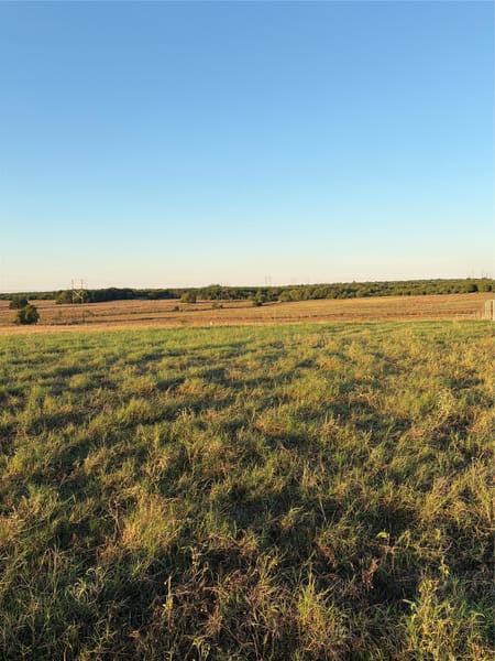 Clifton, TX 76634 Bosque County
