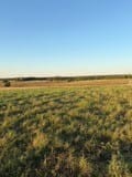 Clifton, TX 76634 Bosque County