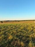 Clifton, TX 76634 Bosque County