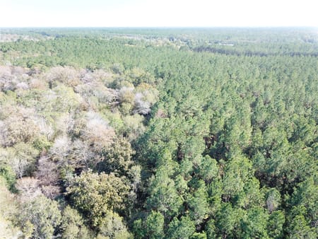 Kountze, TX 77625 Hardin County
